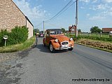 Zandlemig Vlaanderen